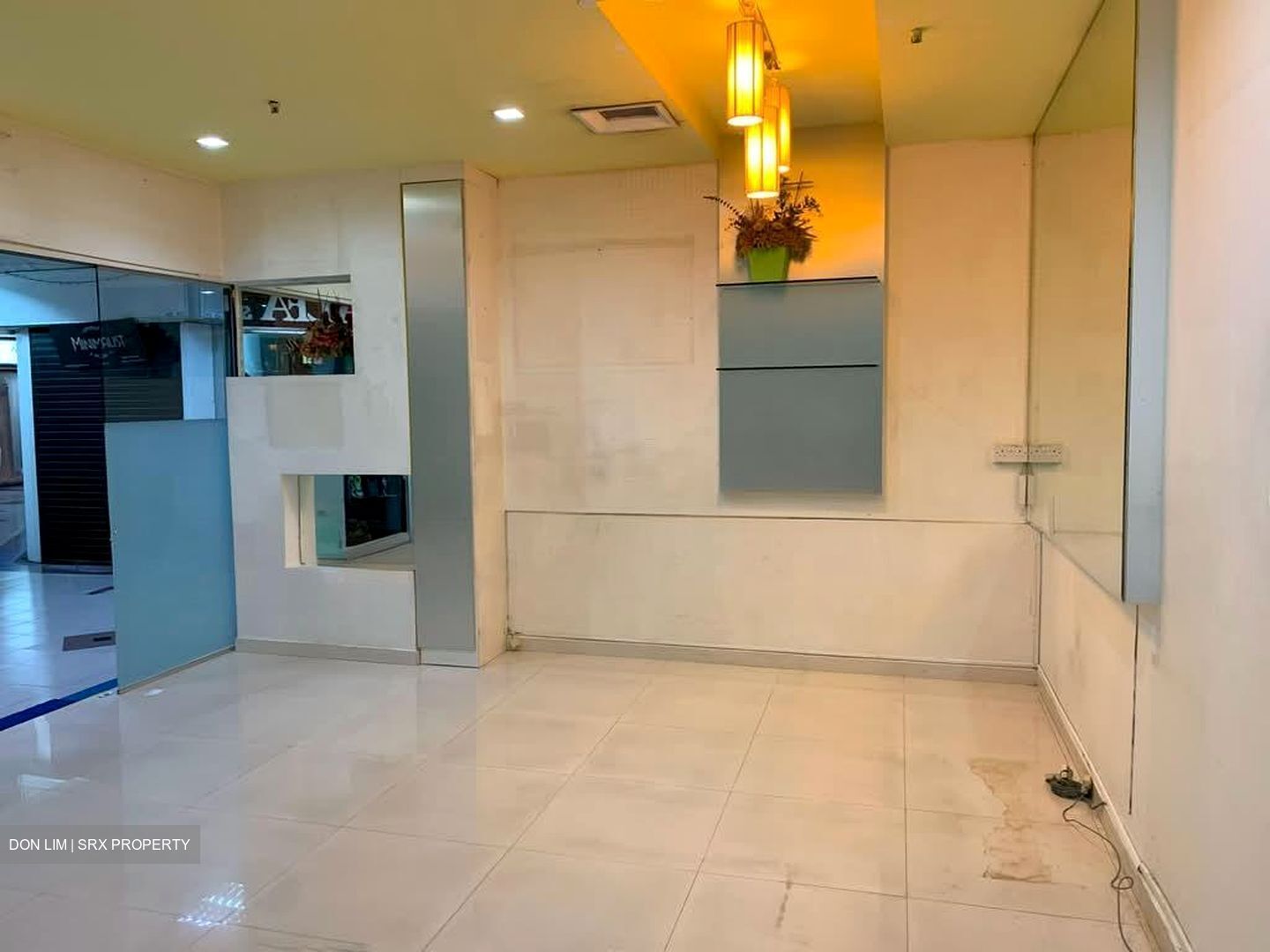 Bukit Timah Shopping Centre (D21), Shop House #576549481